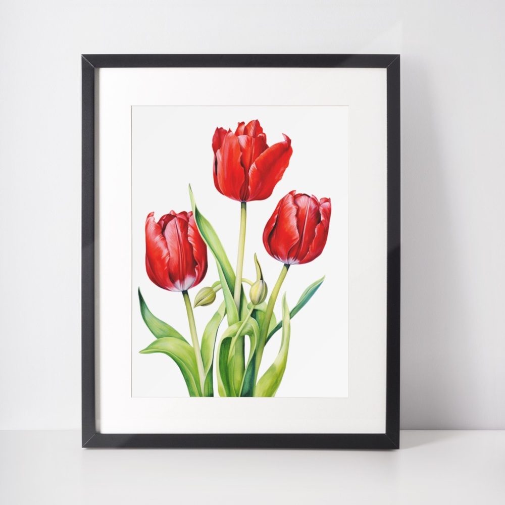 Watercolor Tulips Wall Art Illustration Print Poster Unframed - Picture 3 of 5